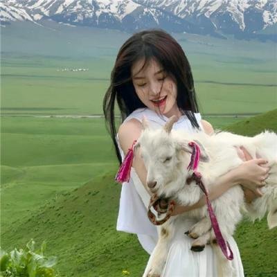 毛毯猫